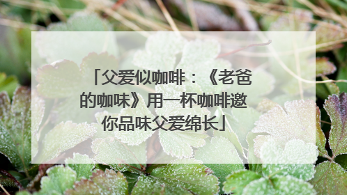 父爱似咖啡：《老爸的咖味》用一杯咖啡邀你品味父爱绵长