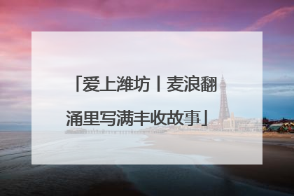 爱上潍坊丨麦浪翻涌里写满丰收故事