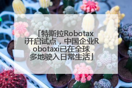 特斯拉Robotaxi开启试点，中国企业Robotaxi已在全球多地驶入日常生活