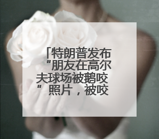 特朗普发布“朋友在高尔夫球场被鹅咬”照片，被咬者疑似美国中东问题特使