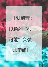 特朗普：以色列“很可能”会袭击伊朗