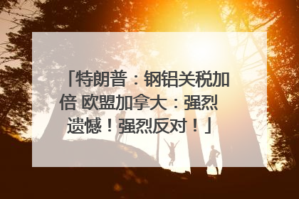 特朗普：钢铝关税加倍 欧盟加拿大：强烈遗憾！强烈反对！