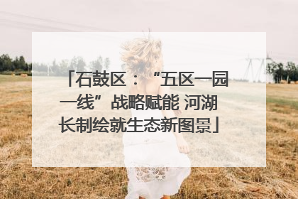 石鼓区：“五区一园一线”战略赋能 河湖长制绘就生态新图景