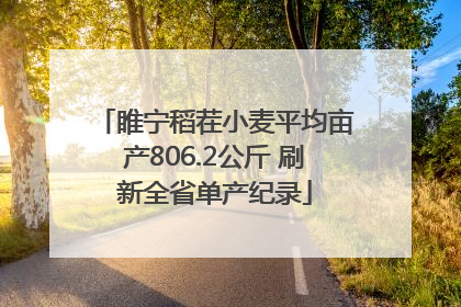 睢宁稻茬小麦平均亩产806.2公斤 刷新全省单产纪录