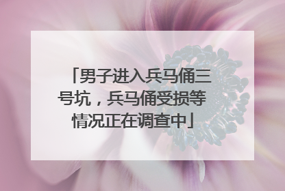 男子进入兵马俑三号坑，兵马俑受损等情况正在调查中