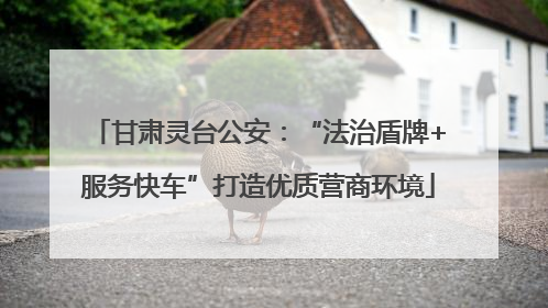 甘肃灵台公安：“法治盾牌+服务快车”打造优质营商环境