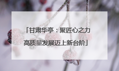 甘肃华亭：聚匠心之力 高质量发展迈上新台阶