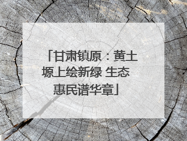 甘肃镇原：黄土塬上绘新绿 生态惠民谱华章