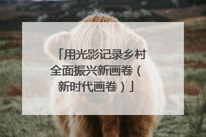 用光影记录乡村全面振兴新画卷（新时代画卷）