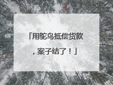 用鸵鸟抵偿货款，案子结了！