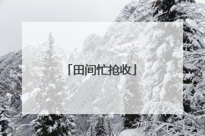 田间忙抢收