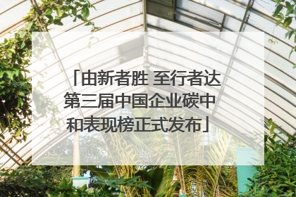 由新者胜 至行者达 第三届中国企业碳中和表现榜正式发布