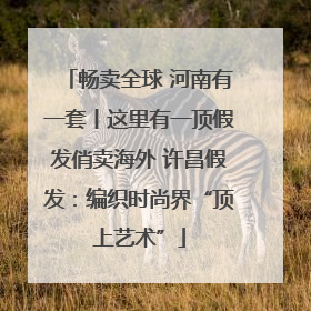 畅卖全球 河南有一套丨这里有一顶假发俏卖海外 许昌假发：编织时尚界“顶上艺术”