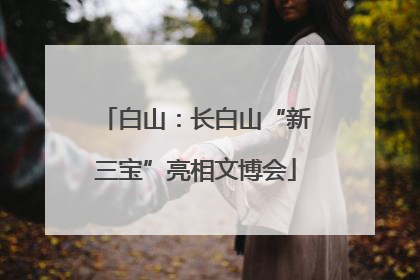 白山：长白山“新三宝”亮相文博会