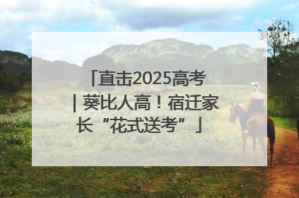 直击2025高考｜葵比人高！宿迁家长“花式送考”