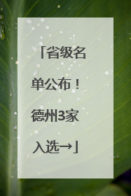 省级名单公布！德州3家入选→