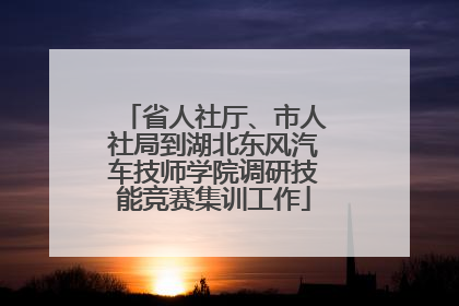 省人社厅、市人社局到湖北东风汽车技师学院调研技能竞赛集训工作