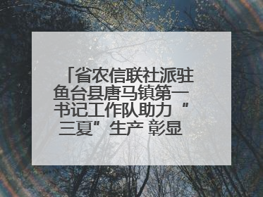 省农信联社派驻鱼台县唐马镇第一书记工作队助力“三夏”生产 彰显为民担当