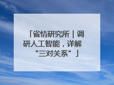 省情研究所｜调研人工智能，详解“三对关系”