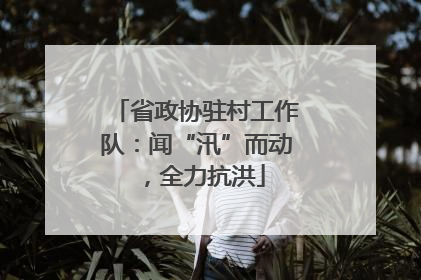 省政协驻村工作队：闻“汛”而动，全力抗洪