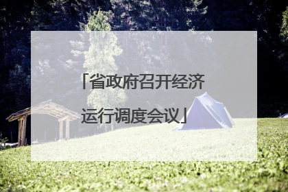 省政府召开经济运行调度会议
