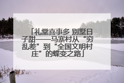 礼堂喜事多 别墅日子甜——马寨村从“穷乱差”到“全国文明村庄”的蝶变之路