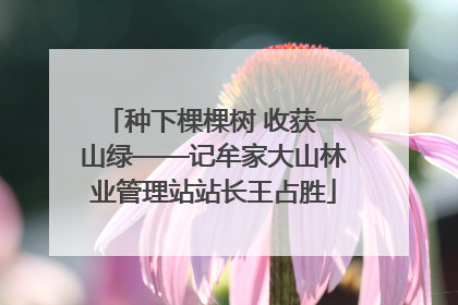 种下棵棵树 收获一山绿——记牟家大山林业管理站站长王占胜