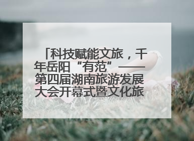 科技赋能文旅，千年岳阳“有范”——第四届湖南旅游发展大会开幕式暨文化旅游推介会侧记