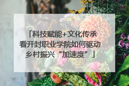 科技赋能+文化传承 看开封职业学院如何驱动乡村振兴“加速度”