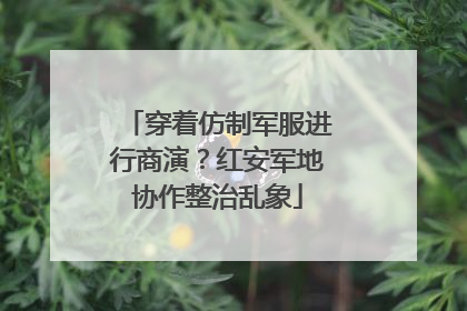 穿着仿制军服进行商演？红安军地协作整治乱象