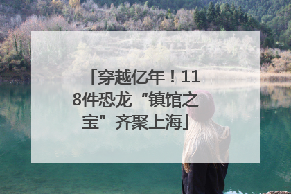 穿越亿年！118件恐龙“镇馆之宝”齐聚上海