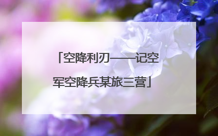 空降利刃——记空军空降兵某旅三营