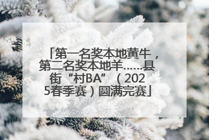 第一名奖本地黄牛，第二名奖本地羊……县街“村BA”（2025春季赛）圆满完赛