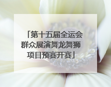 第十五届全运会群众展演舞龙舞狮项目预赛开赛