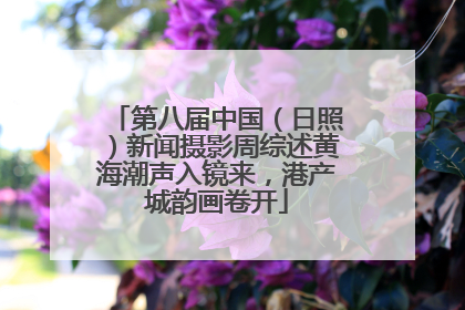 第八届中国（日照）新闻摄影周综述黄海潮声入镜来，港产城韵画卷开