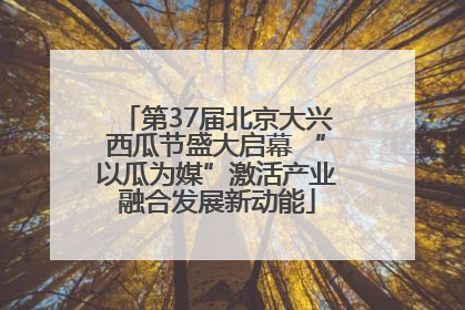 第37届北京大兴西瓜节盛大启幕 “以瓜为媒”激活产业融合发展新动能
