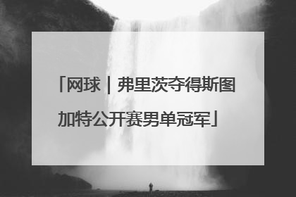 网球｜弗里茨夺得斯图加特公开赛男单冠军