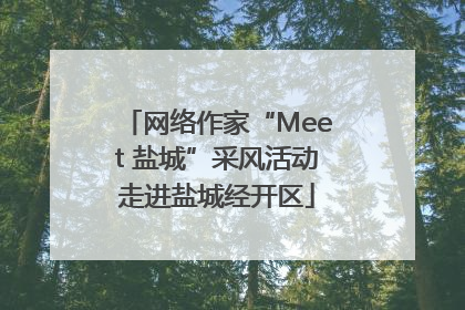 网络作家“Meet 盐城”采风活动走进盐城经开区