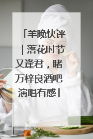 羊晚快评｜落花时节又逢君，睹万梓良酒吧演唱有感