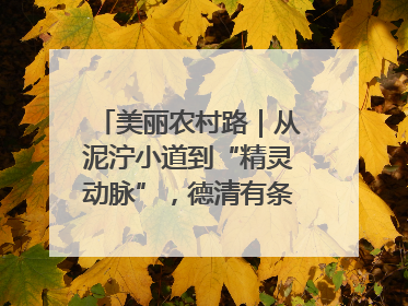 美丽农村路｜从泥泞小道到“精灵动脉”，德清有条“虾路”火了