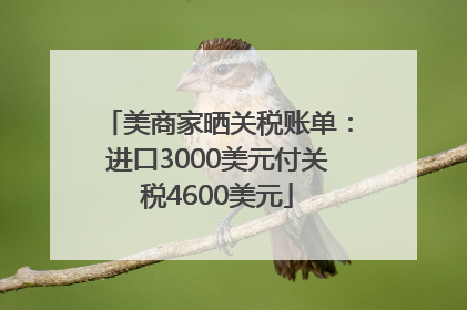 美商家晒关税账单：进口3000美元付关税4600美元