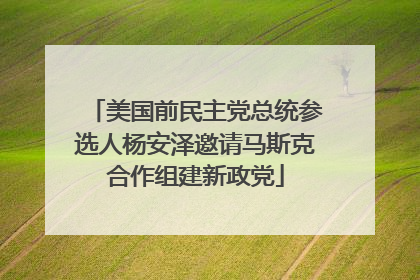 美国前民主党总统参选人杨安泽邀请马斯克合作组建新政党