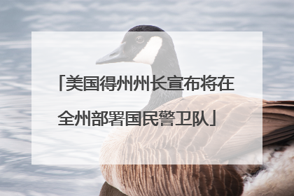 美国得州州长宣布将在全州部署国民警卫队