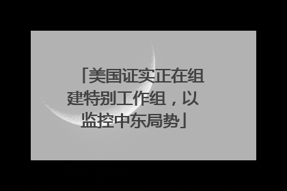 美国证实正在组建特别工作组，以监控中东局势