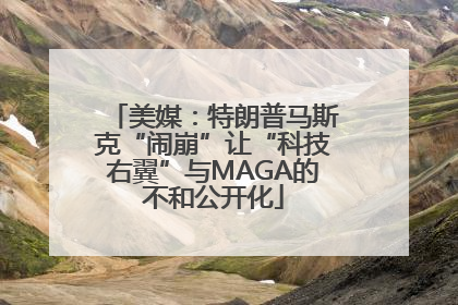 美媒：特朗普马斯克“闹崩”让“科技右翼”与MAGA的不和公开化