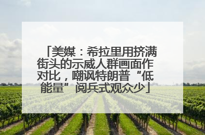 美媒：希拉里用挤满街头的示威人群画面作对比，嘲讽特朗普“低能量”阅兵式观众少