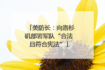 美防长：向洛杉矶部署军队“合法且符合宪法”