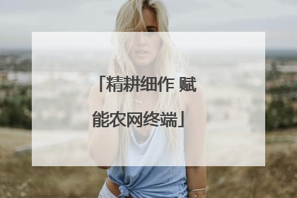 精耕细作 赋能农网终端