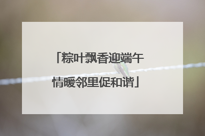 粽叶飘香迎端午 情暖邻里促和谐
