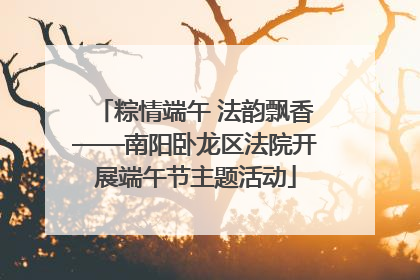 粽情端午 法韵飘香——南阳卧龙区法院开展端午节主题活动